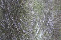 Kirkland Guards fibreglass roof work